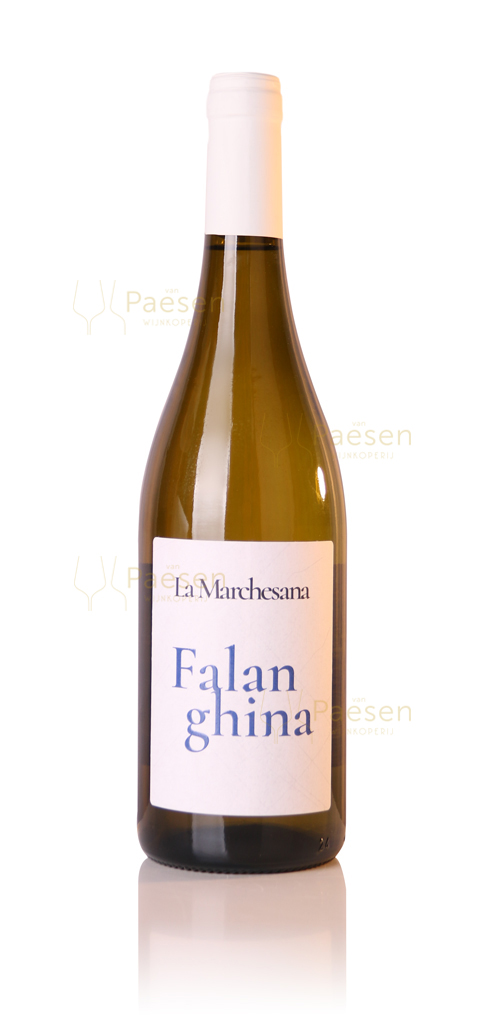 Marchesana Falanghina Puglia IGT